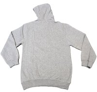 Aerosmith - Boston Grijs Vintage Logo  Hoodie