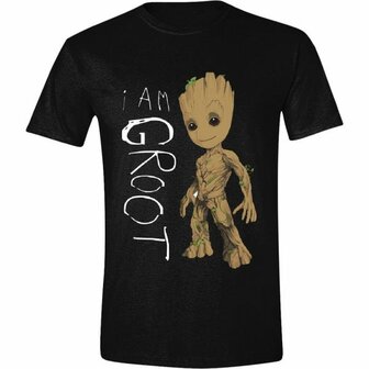 Guardians Of The Galaxy &ndash; I Am Groot Scribbles T-Shirt Zwart 