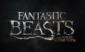 Fantastic Beasts - And Where To Find Them - Zwart Heren easy-fit T-shirt