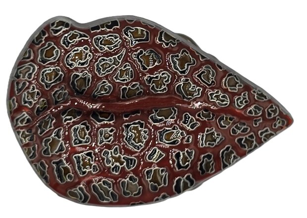 luipaardlippen Rood Metal Riem Buckle/Gesp